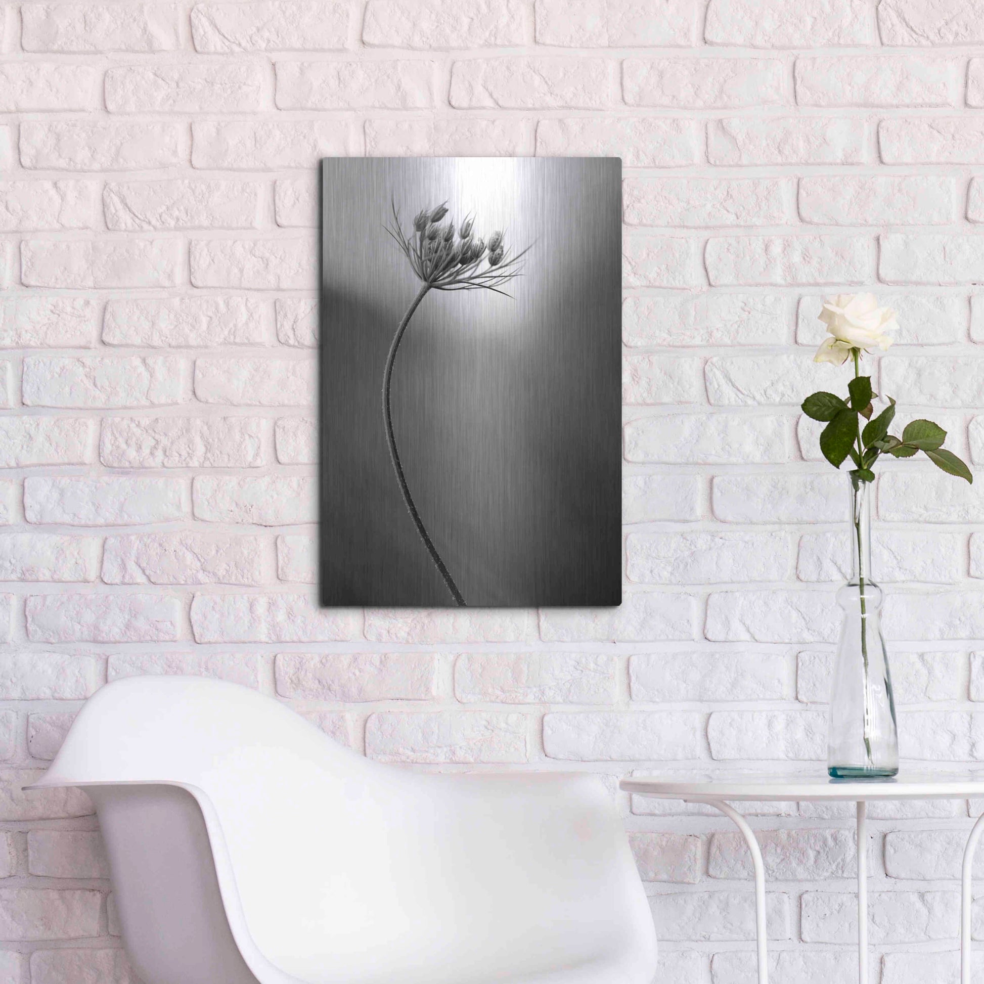 Luxe Metal Art 'Queen Anne's B&W' by Thomas Haney, Metal Wall Art,16x24