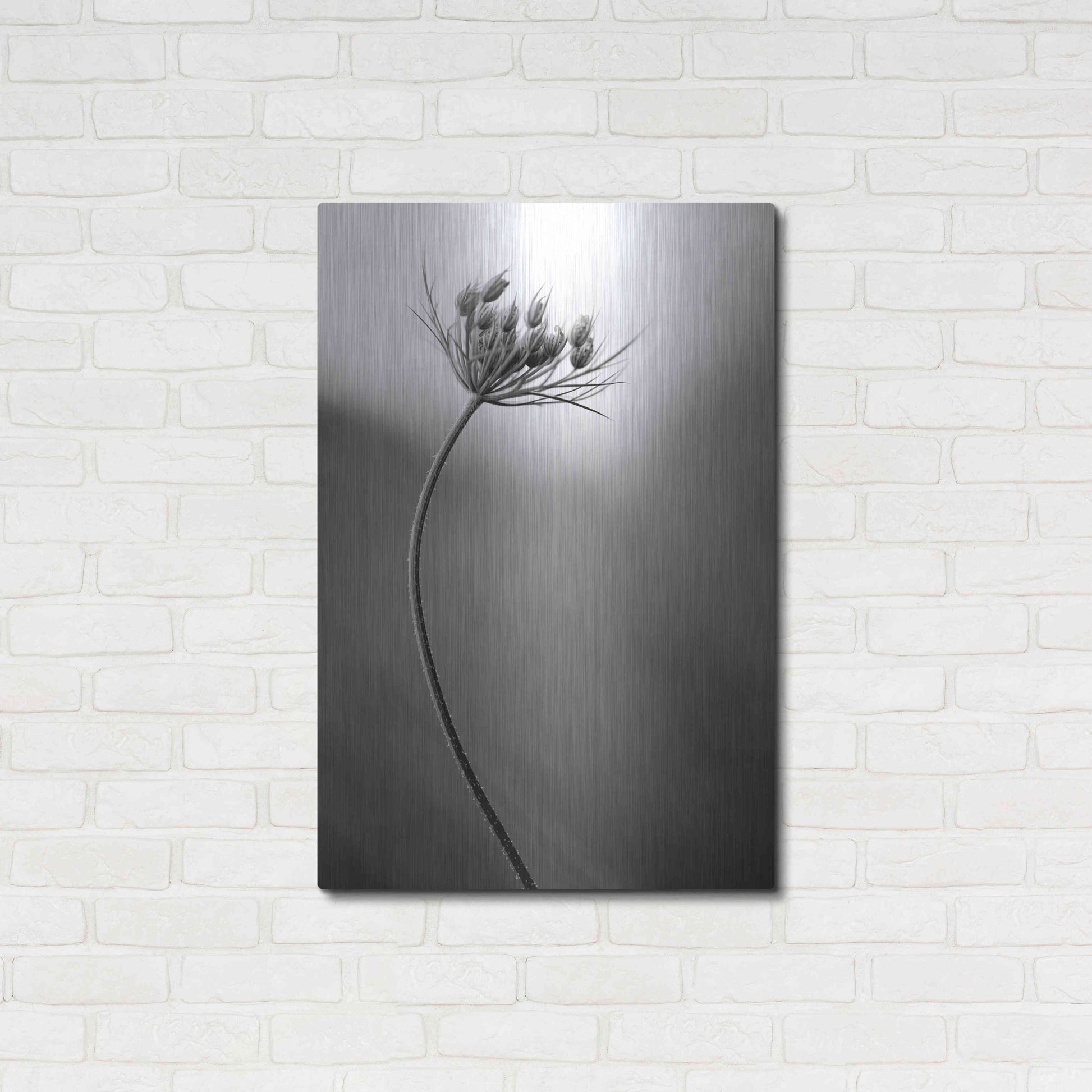 Luxe Metal Art 'Queen Anne's B&W' by Thomas Haney, Metal Wall Art,24x36