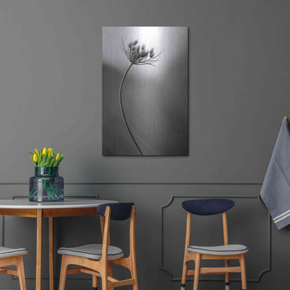 Luxe Metal Art 'Queen Anne's B&W' by Thomas Haney, Metal Wall Art,24x36