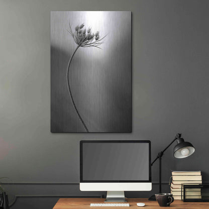 Luxe Metal Art 'Queen Anne's B&W' by Thomas Haney, Metal Wall Art,24x36