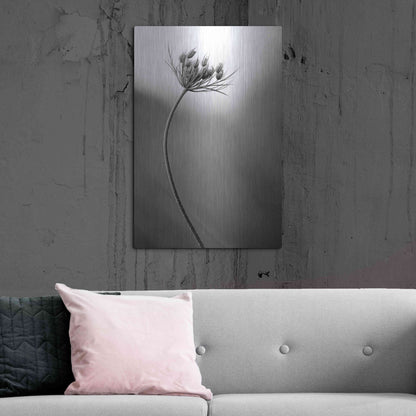 Luxe Metal Art 'Queen Anne's B&W' by Thomas Haney, Metal Wall Art,24x36