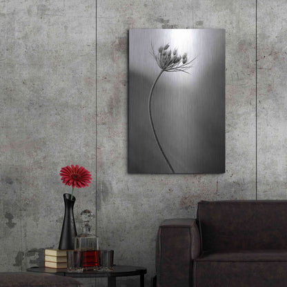 Luxe Metal Art 'Queen Anne's B&W' by Thomas Haney, Metal Wall Art,24x36
