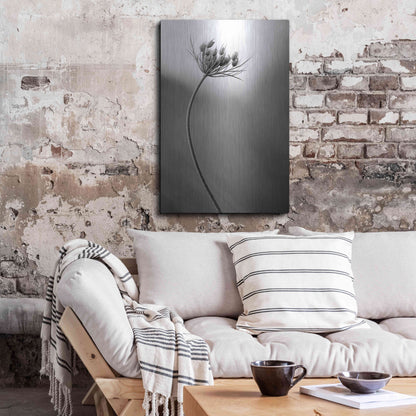 Luxe Metal Art 'Queen Anne's B&W' by Thomas Haney, Metal Wall Art,24x36