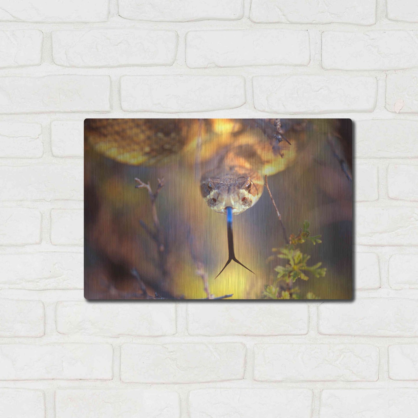 Luxe Metal Art 'Rattle' by Thomas Haney, Metal Wall Art,16x12