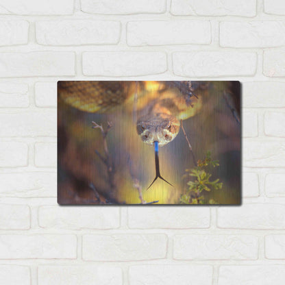 Luxe Metal Art 'Rattle' by Thomas Haney, Metal Wall Art,16x12