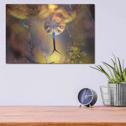 Luxe Metal Art 'Rattle' by Thomas Haney, Metal Wall Art,16x12