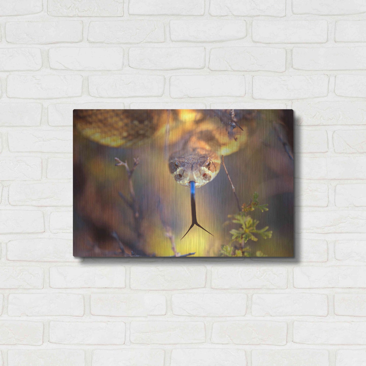 Luxe Metal Art 'Rattle' by Thomas Haney, Metal Wall Art,24x16