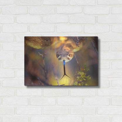 Luxe Metal Art 'Rattle' by Thomas Haney, Metal Wall Art,24x16