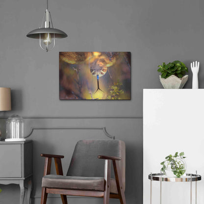 Luxe Metal Art 'Rattle' by Thomas Haney, Metal Wall Art,24x16