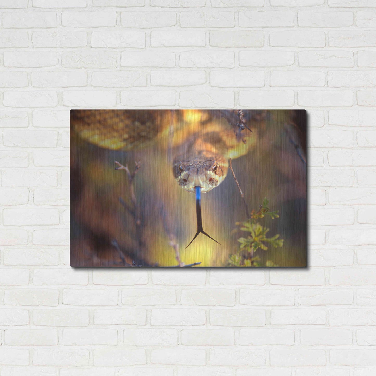 Luxe Metal Art 'Rattle' by Thomas Haney, Metal Wall Art,36x24