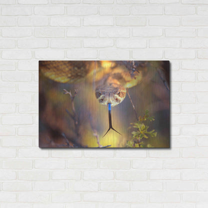 Luxe Metal Art 'Rattle' by Thomas Haney, Metal Wall Art,36x24