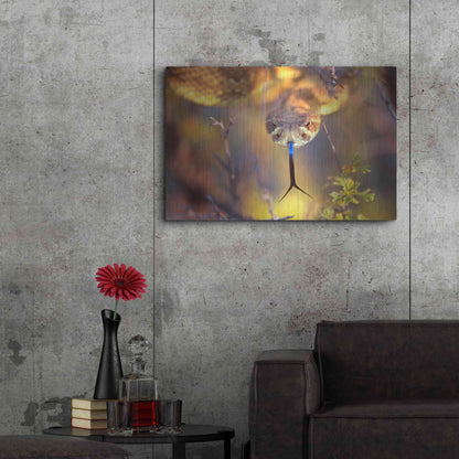 Luxe Metal Art 'Rattle' by Thomas Haney, Metal Wall Art,36x24