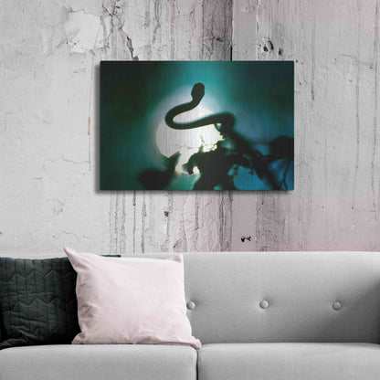 Luxe Metal Art 'Snake Sun' by Thomas Haney, Metal Wall Art,36x24