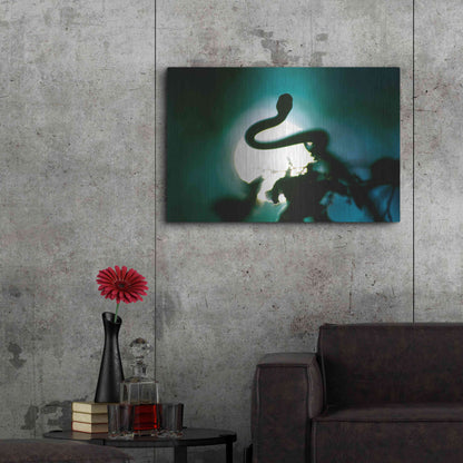 Luxe Metal Art 'Snake Sun' by Thomas Haney, Metal Wall Art,36x24