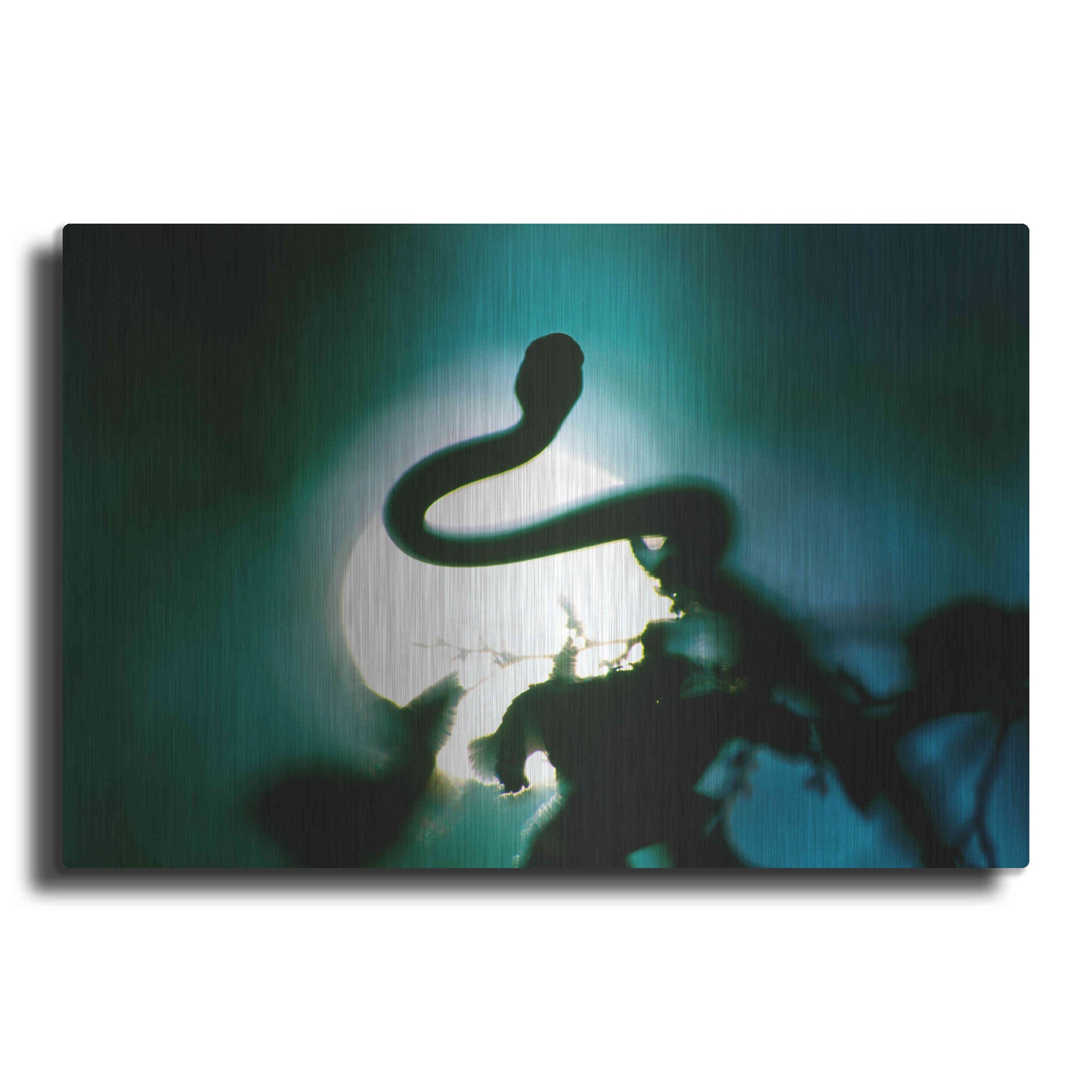 Luxe Metal Art 'Snake Sun' by Thomas Haney, Metal Wall Art