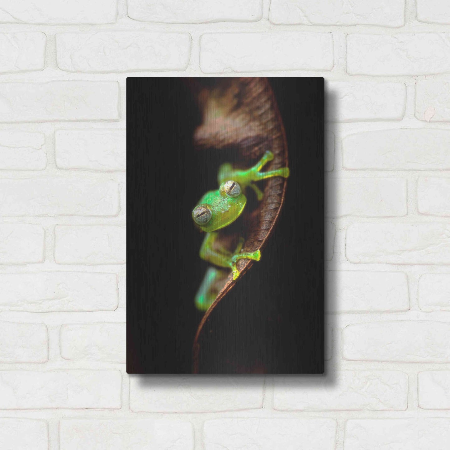 Luxe Metal Art 'Frog Portrait' by Thomas Haney, Metal Wall Art,12x16