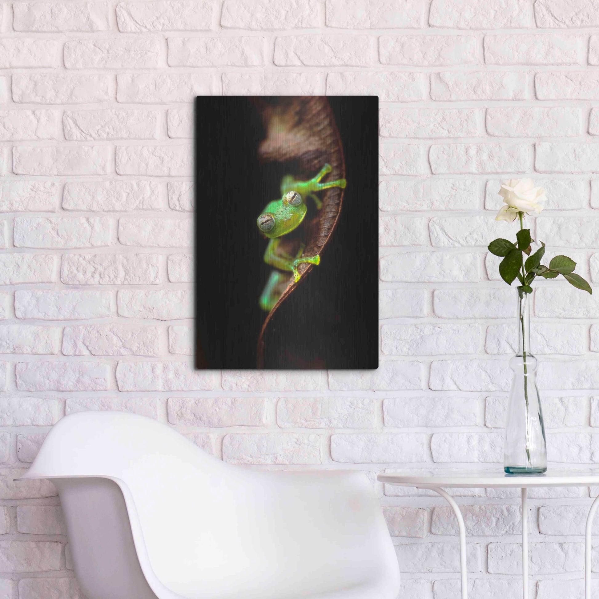 Luxe Metal Art 'Frog Portrait' by Thomas Haney, Metal Wall Art,16x24