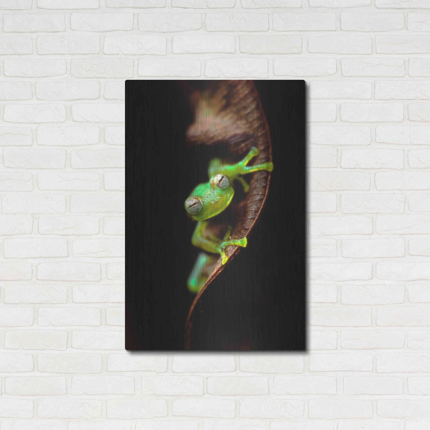 Luxe Metal Art 'Frog Portrait' by Thomas Haney, Metal Wall Art,24x36