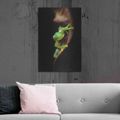 Luxe Metal Art 'Frog Portrait' by Thomas Haney, Metal Wall Art,24x36