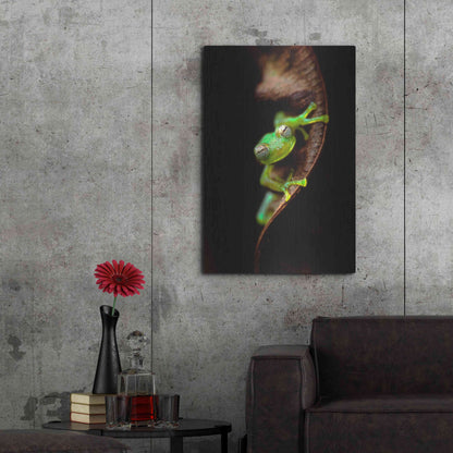 Luxe Metal Art 'Frog Portrait' by Thomas Haney, Metal Wall Art,24x36