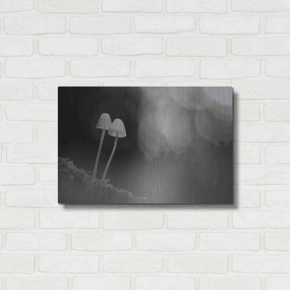 Luxe Metal Art 'Mushroom Tiny' by Thomas Haney, Metal Wall Art,24x16