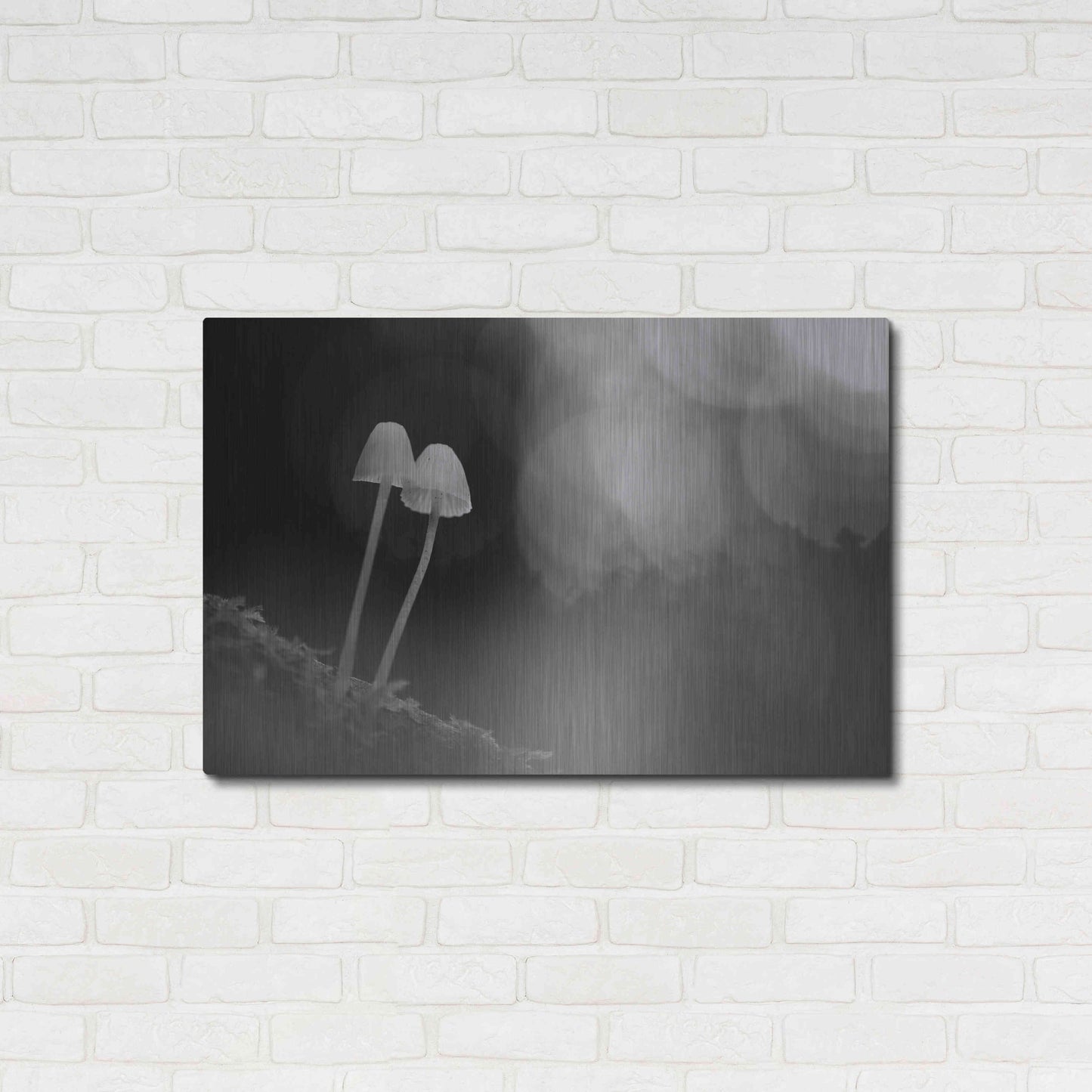 Luxe Metal Art 'Mushroom Tiny' by Thomas Haney, Metal Wall Art,36x24