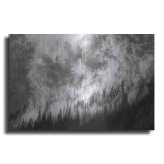 Luxe Metal Art 'Rising Mist 3' by Thomas Haney, Metal Wall Art