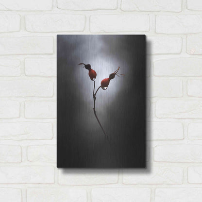 Luxe Metal Art 'Rose Hips' by Thomas Haney, Metal Wall Art,12x16