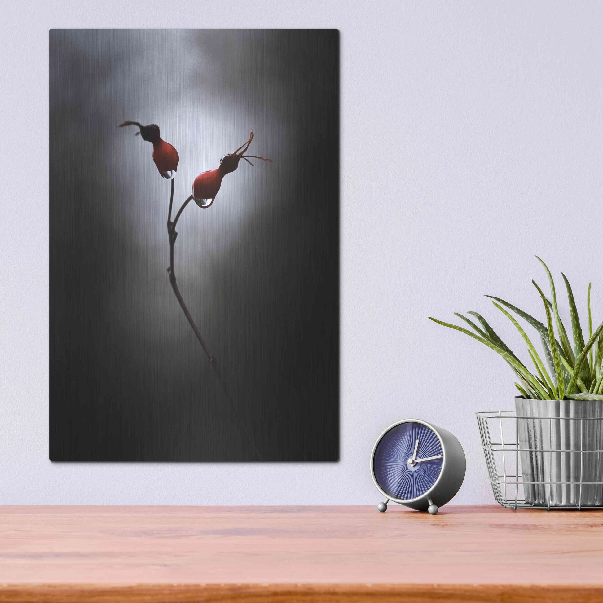 Luxe Metal Art 'Rose Hips' by Thomas Haney, Metal Wall Art,12x16