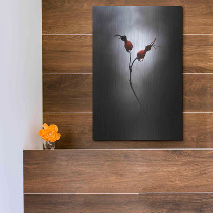 Luxe Metal Art 'Rose Hips' by Thomas Haney, Metal Wall Art,12x16