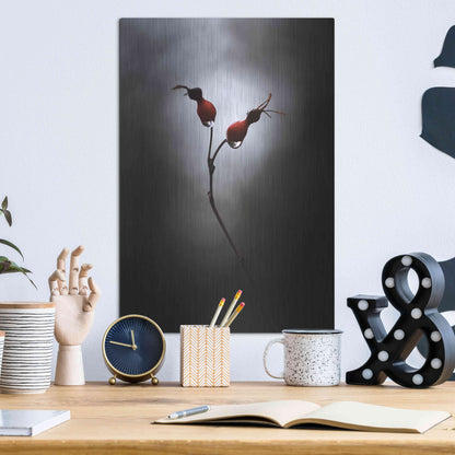 Luxe Metal Art 'Rose Hips' by Thomas Haney, Metal Wall Art,12x16