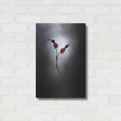 Luxe Metal Art 'Rose Hips' by Thomas Haney, Metal Wall Art,16x24