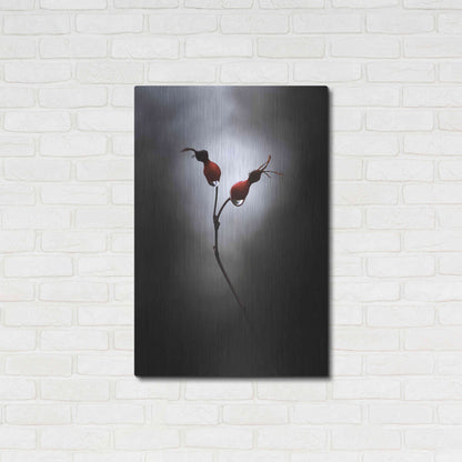 Luxe Metal Art 'Rose Hips' by Thomas Haney, Metal Wall Art,24x36