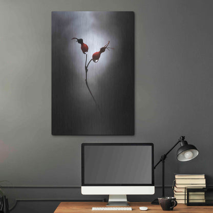 Luxe Metal Art 'Rose Hips' by Thomas Haney, Metal Wall Art,24x36