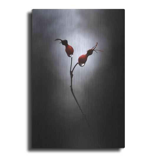 Luxe Metal Art 'Rose Hips' by Thomas Haney, Metal Wall Art