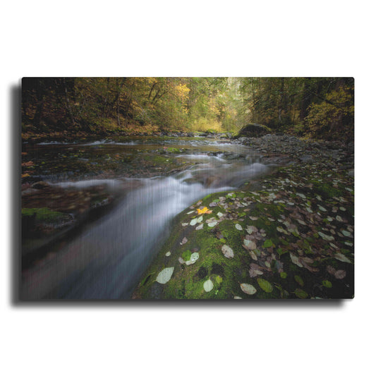 Luxe Metal Art 'Rushing Best' by Thomas Haney, Metal Wall Art