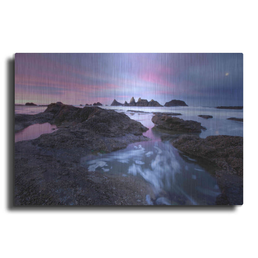 Luxe Metal Art 'Seal Rock Colors' by Thomas Haney, Metal Wall Art