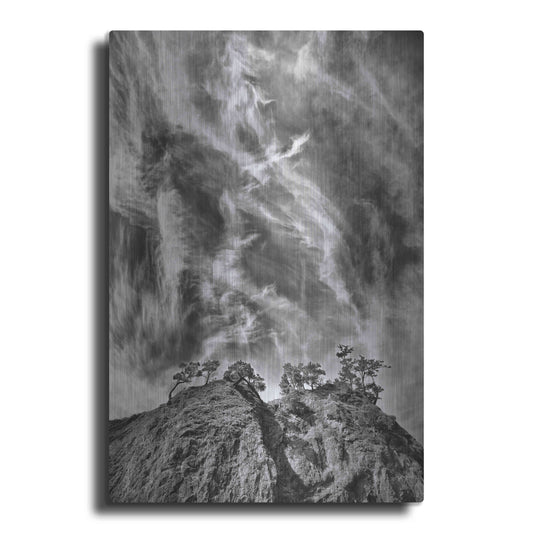 Luxe Metal Art 'Tree Island Clouds B&W Pushed' by Thomas Haney, Metal Wall Art