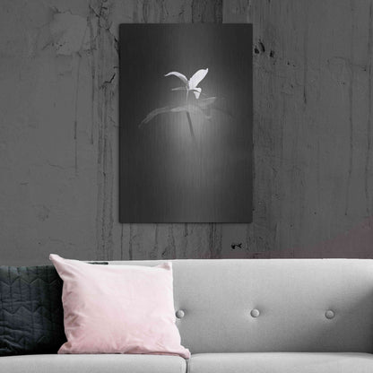 Luxe Metal Art 'Trillium Pastel 1 B&W' by Thomas Haney, Metal Wall Art,24x36