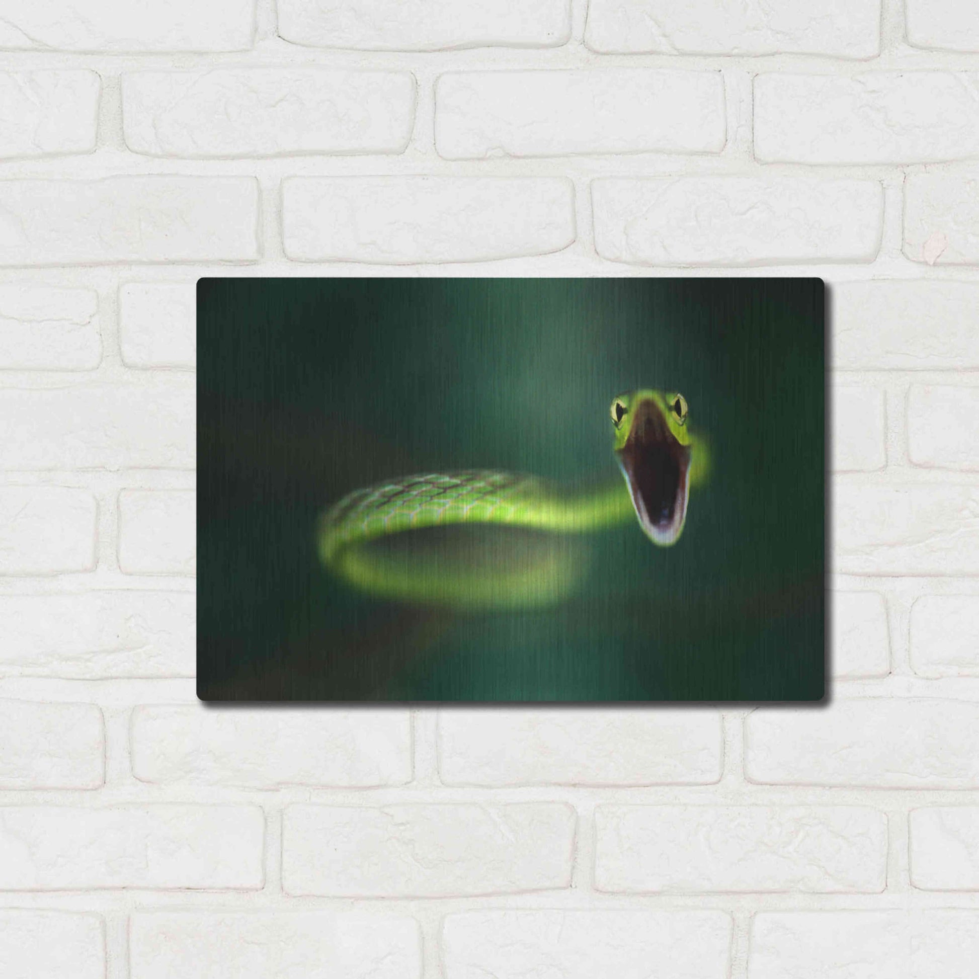 Luxe Metal Art 'Vine Snake' by Thomas Haney, Metal Wall Art,16x12