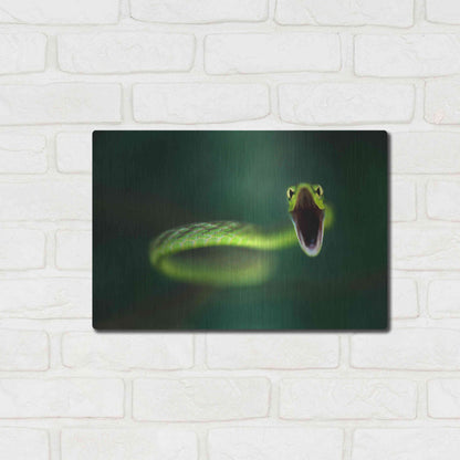 Luxe Metal Art 'Vine Snake' by Thomas Haney, Metal Wall Art,16x12