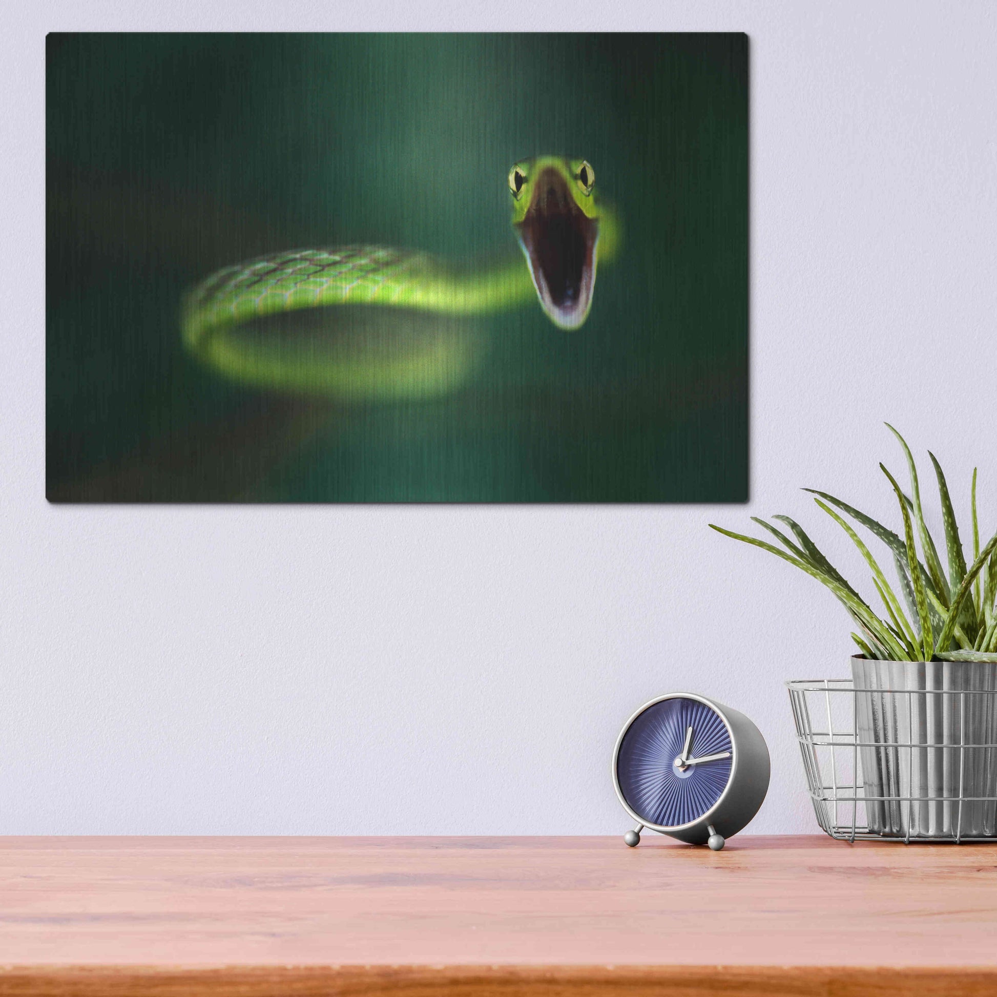 Luxe Metal Art 'Vine Snake' by Thomas Haney, Metal Wall Art,16x12