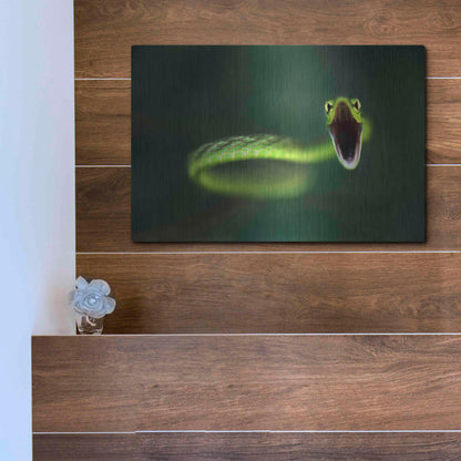 Luxe Metal Art 'Vine Snake' by Thomas Haney, Metal Wall Art,16x12