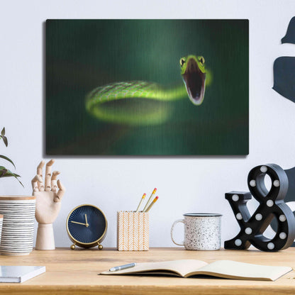 Luxe Metal Art 'Vine Snake' by Thomas Haney, Metal Wall Art,16x12