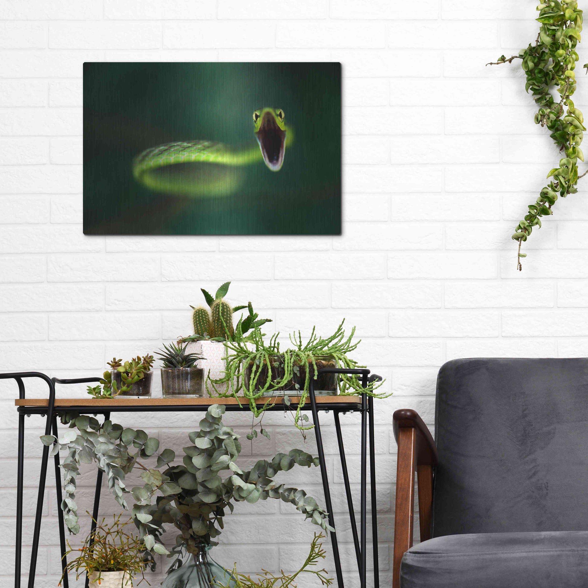 Luxe Metal Art 'Vine Snake' by Thomas Haney, Metal Wall Art,16x12