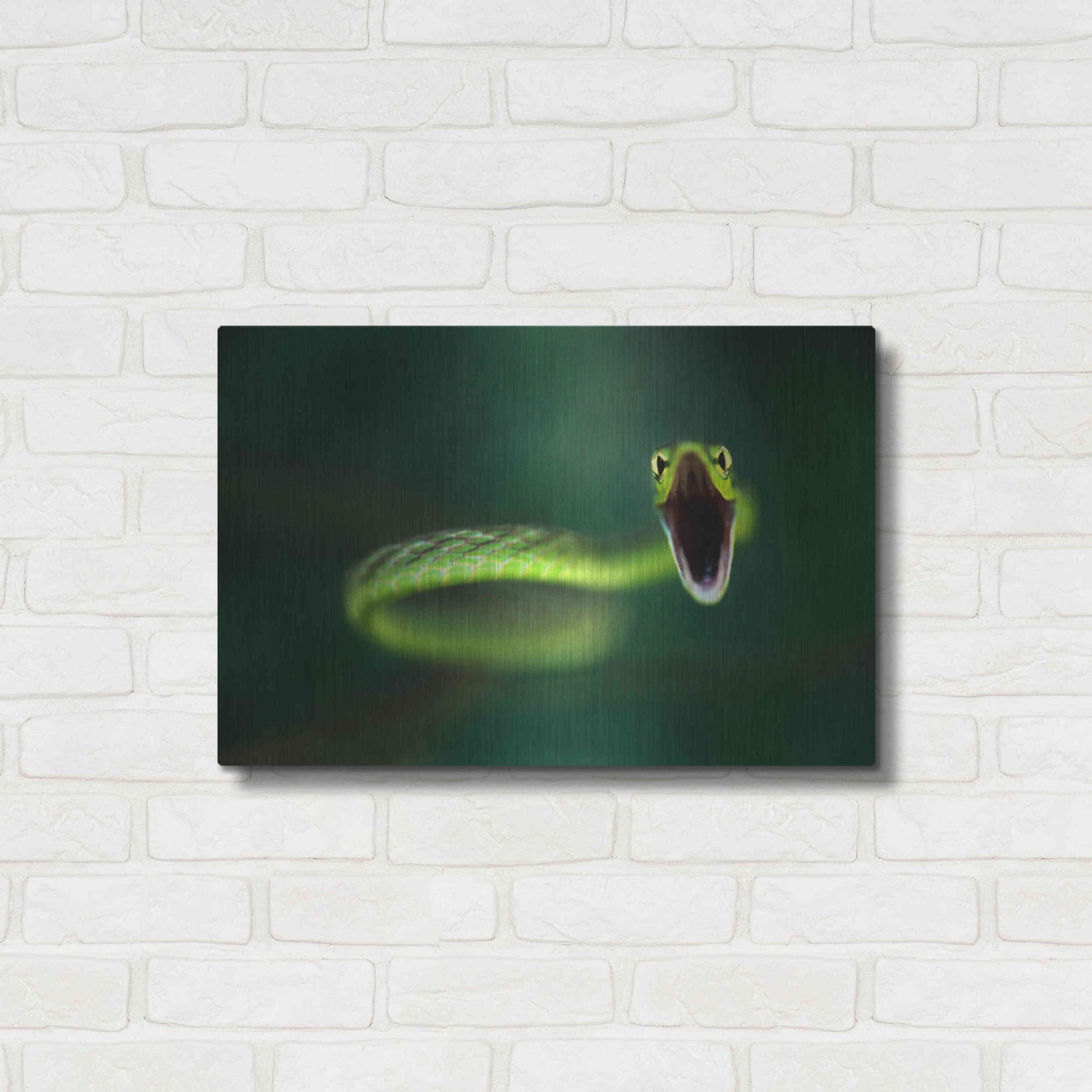 Luxe Metal Art 'Vine Snake' by Thomas Haney, Metal Wall Art,24x16