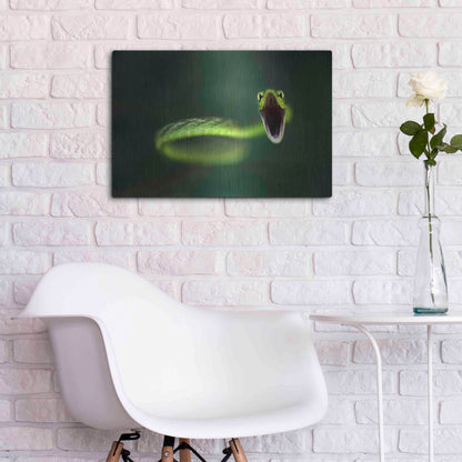 Luxe Metal Art 'Vine Snake' by Thomas Haney, Metal Wall Art,24x16