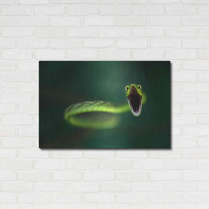 Luxe Metal Art 'Vine Snake' by Thomas Haney, Metal Wall Art,36x24