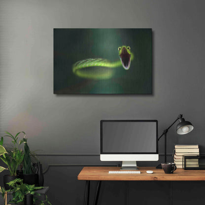 Luxe Metal Art 'Vine Snake' by Thomas Haney, Metal Wall Art,36x24