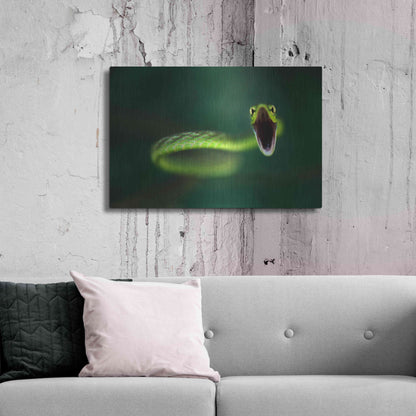 Luxe Metal Art 'Vine Snake' by Thomas Haney, Metal Wall Art,36x24